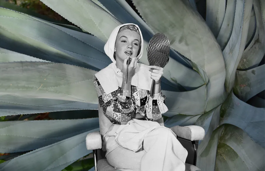 Agave-Spa-Destacada