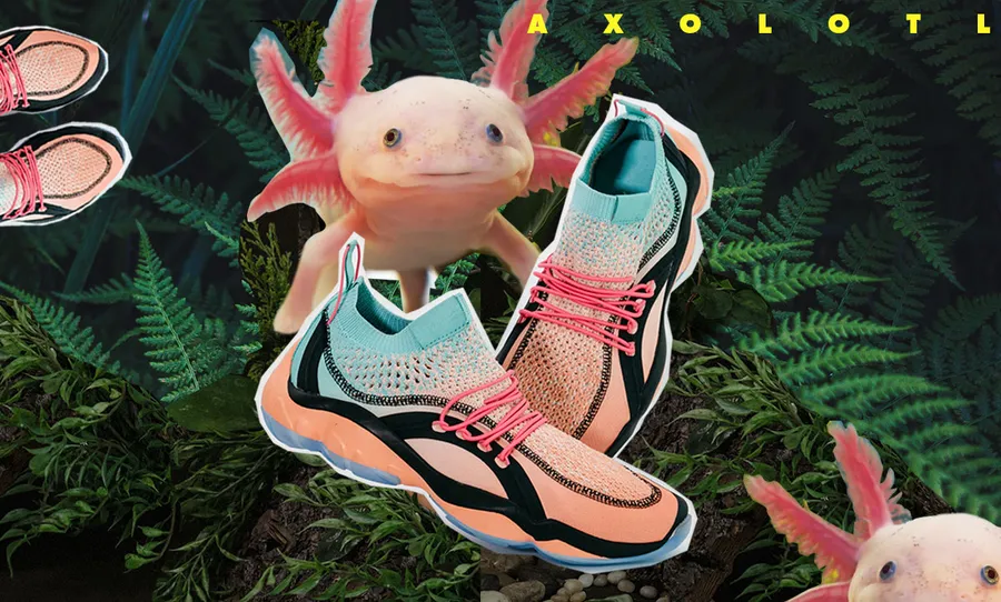 axolotl 2