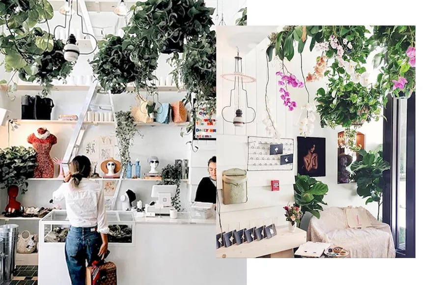 Concept-Stores