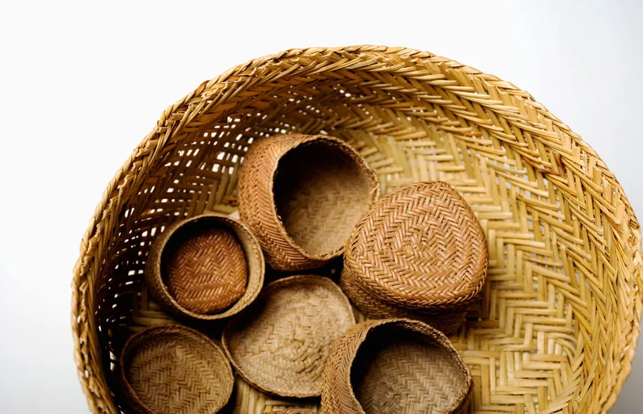 shutterstock_2384737