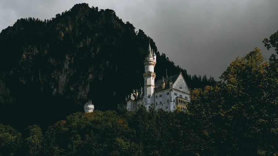 kayle-kaupanger-1079941-unsplash
