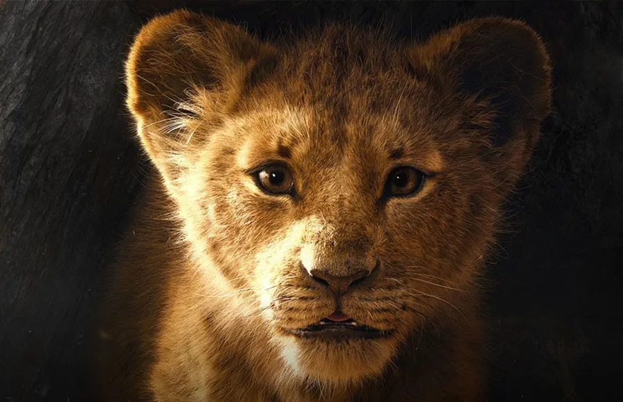 The-lion-king-live-action