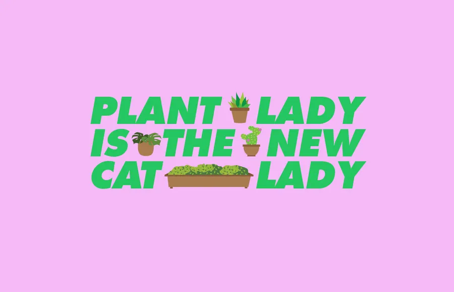 plant-lady-nueva-cat-lady-plantitas