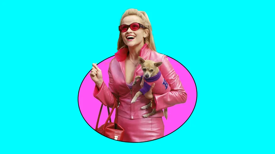LEGALLY-BLONDE-SERIE-AMAZON-PRIME-VIDEO.jpg