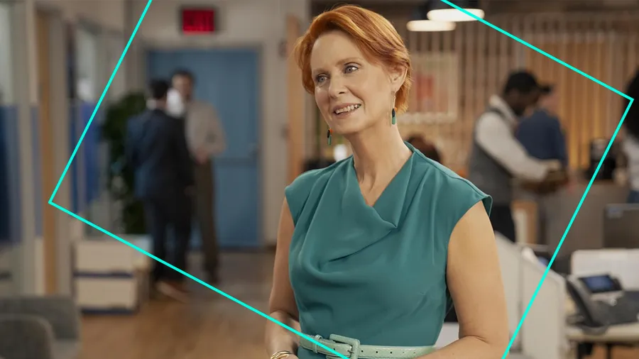 Miranda Hobbes And Just Like That