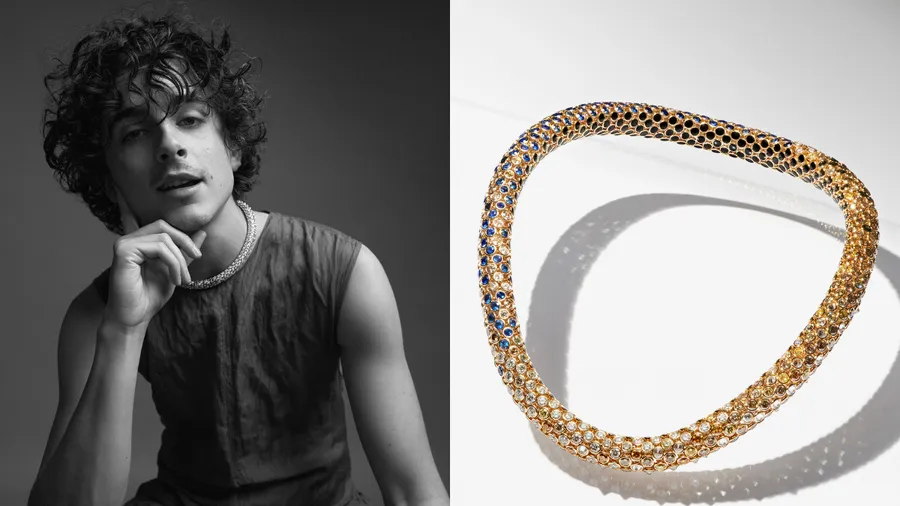 Timothée lo hace de nuevo y crea un collar con Cartier inspirado en Dune