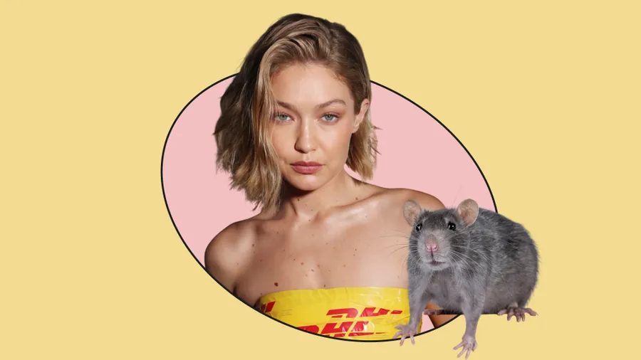 Gigi Hadid