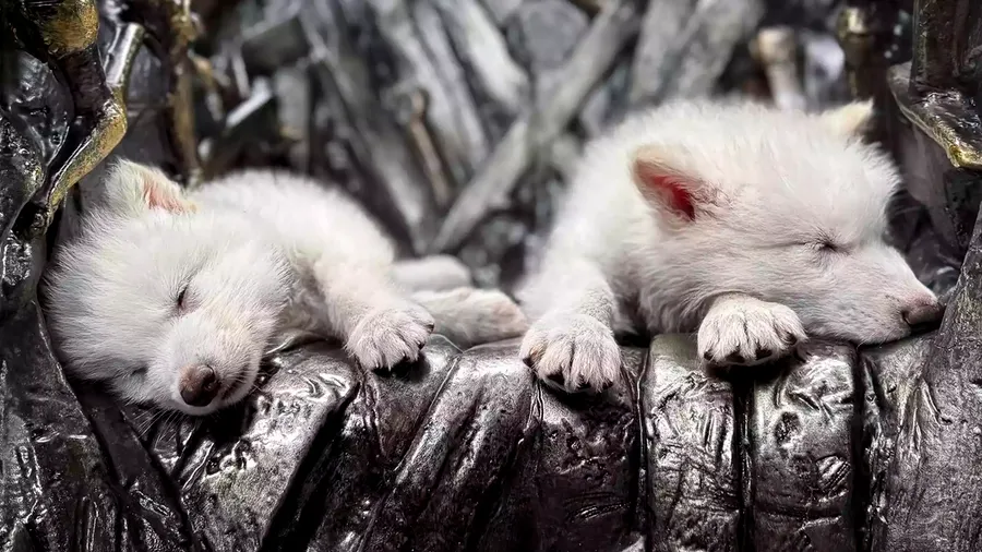 lobos-terribles-game-of-thrones.jpg