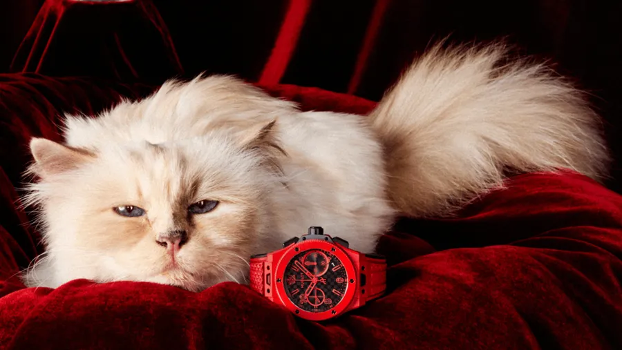 choupette hublot