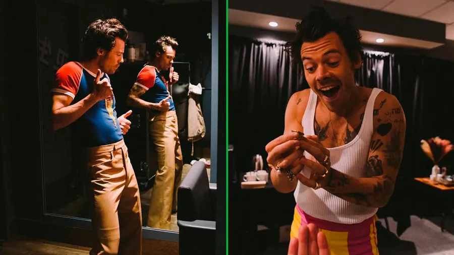 harry-styles-rey-low-carb-sandwich-sin-pan.jpg