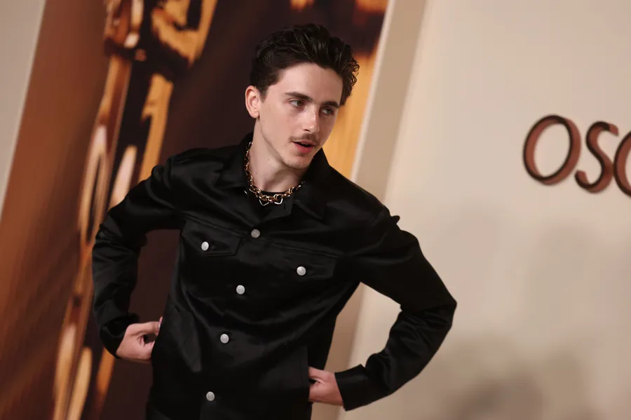 timothee chalamet gap
