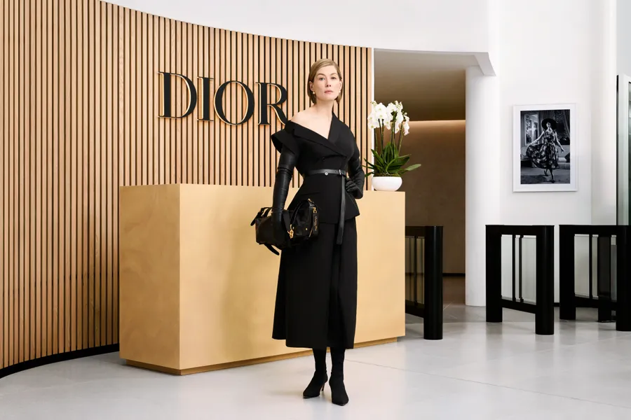 dior d-journey bolsa Rosamund Pike
