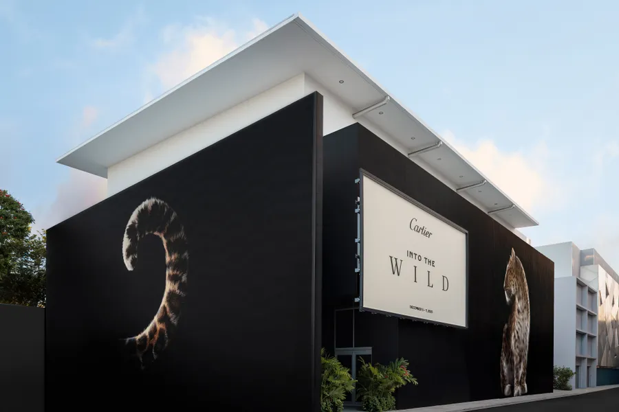 Cartier Into the Wild
