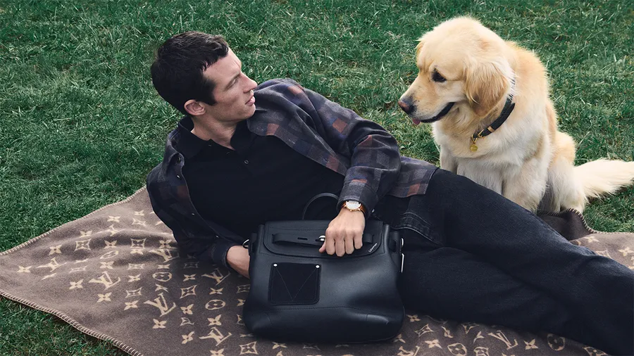 louis-vuitton-perritos