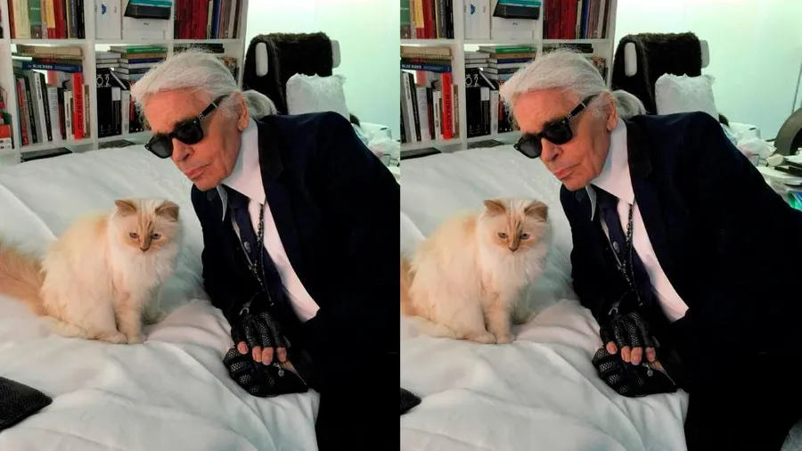 Tras heredar 170M de euros, Choupette, la gatita de Karl Lagerfeld, está en la ruina