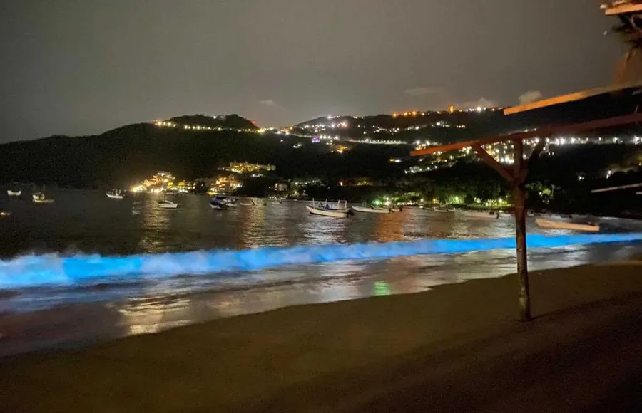 acapulco-bioluminiscencia-