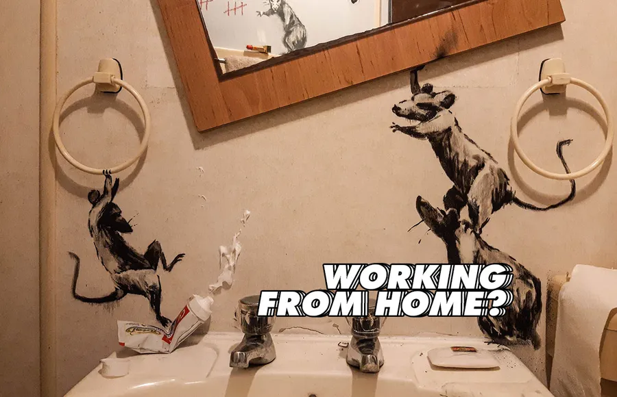 bansky-home-office-home-casa