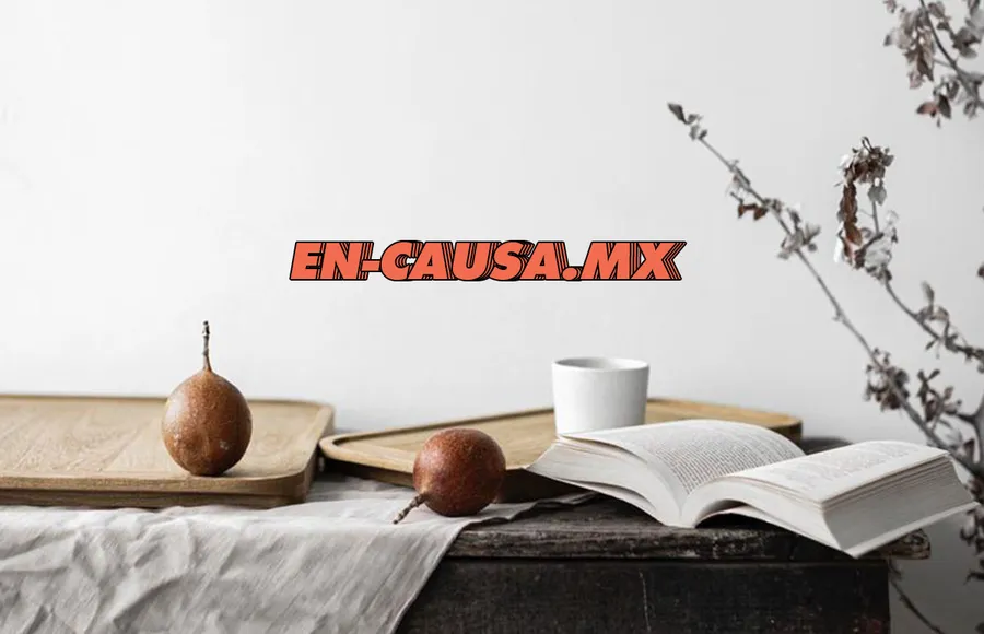 en-causa-diseñadores-mexicanos