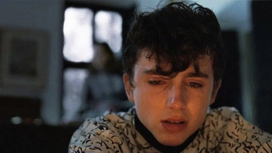 Timothee-Chalamet-elio-Llorando