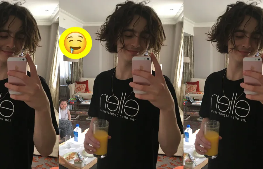 Timothée-Chalamet--refrigerador