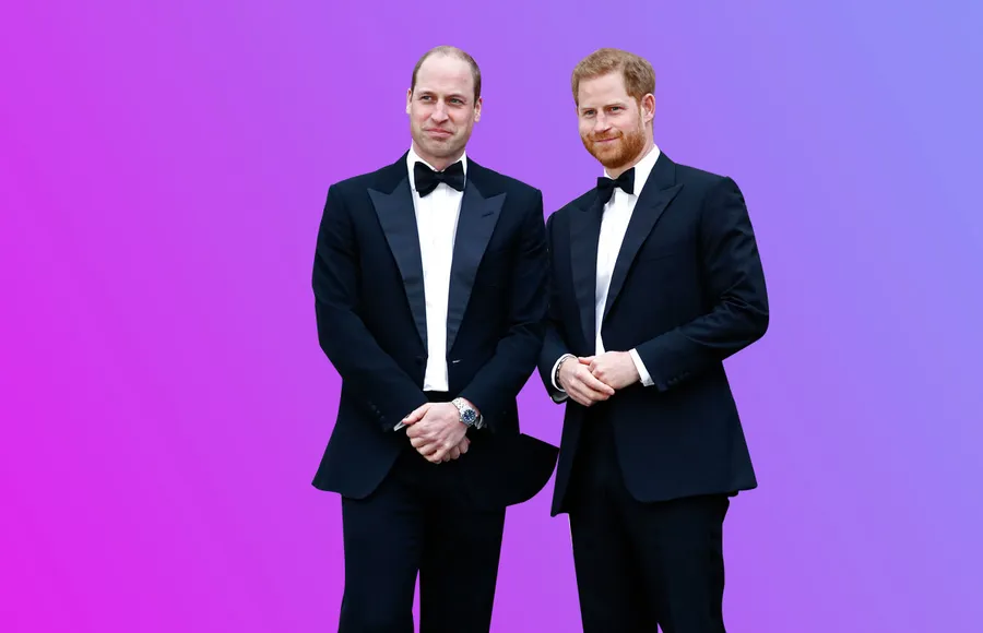 William-y-Harry--se-reúnen-en-honor-a-Lady-Di
