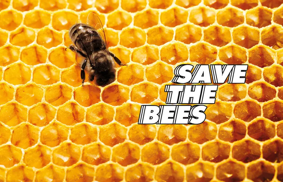 abejas-guerlain-día mundial-miel-skincare-iniciativas-bees copy