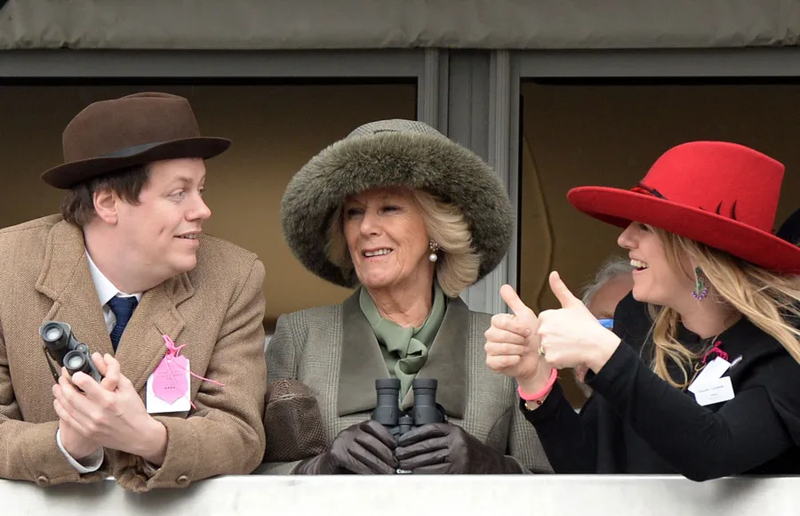 hermanastros-harry-william