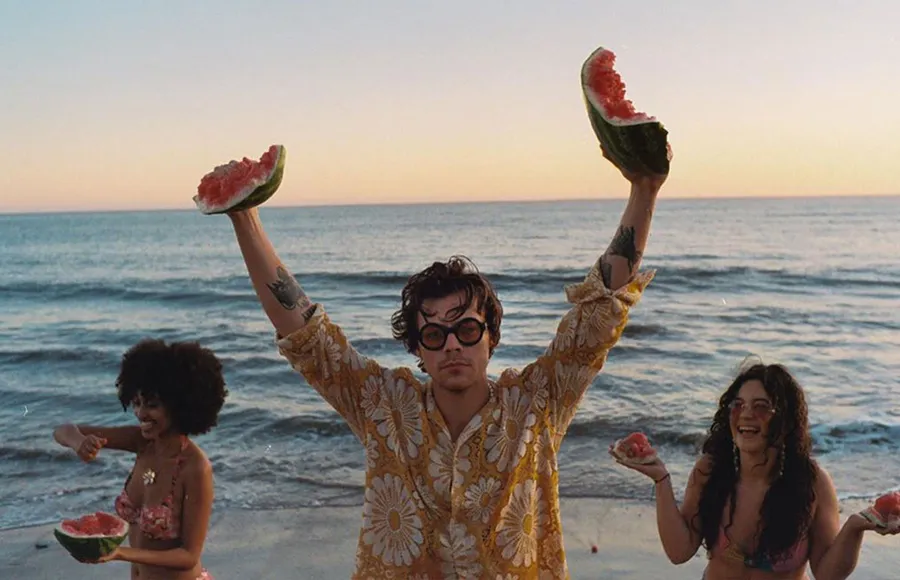 harry-styles-paga-fianza