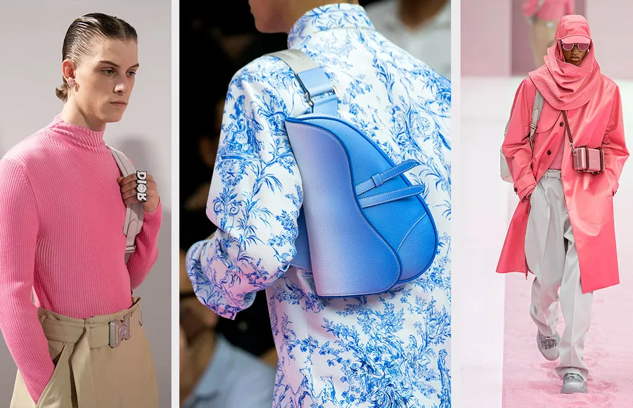 EVLUCION-BOLSO-DIOR