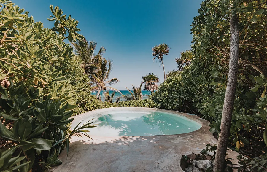 papaya-playa