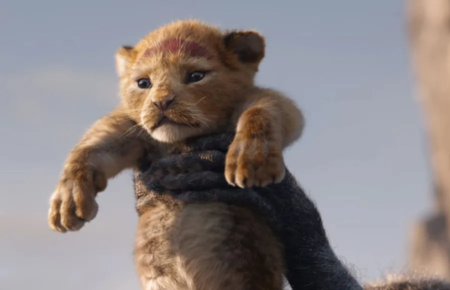 La secuela de El Rey León es un hecho y será del director de Moonlight