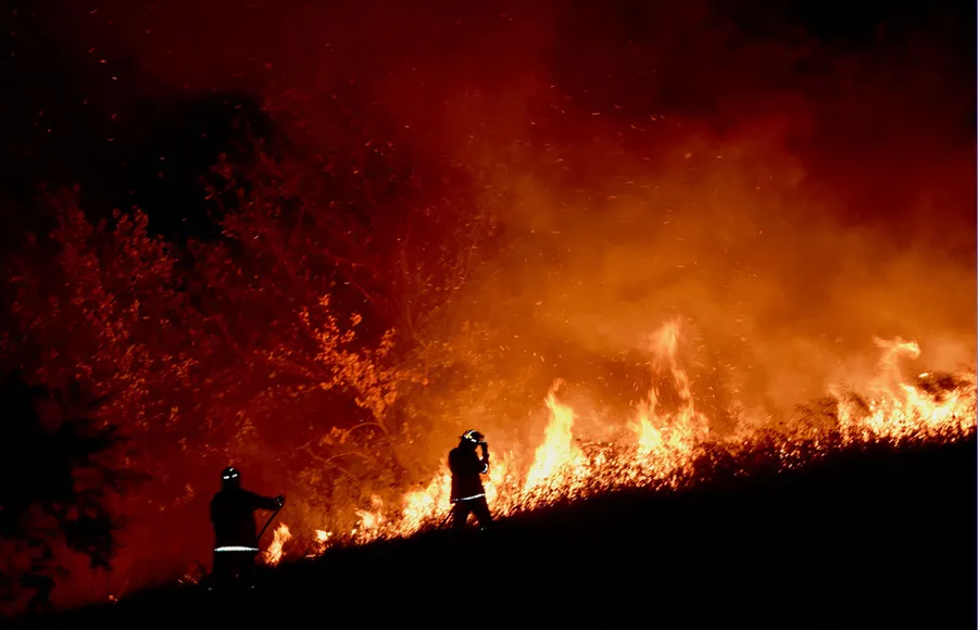 australia-incendio-fuego-ayudar-afecta-entender-animales
