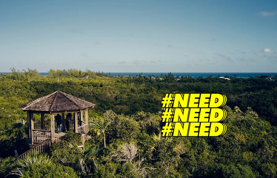 bahamas-airbnb-sabatico-concurso