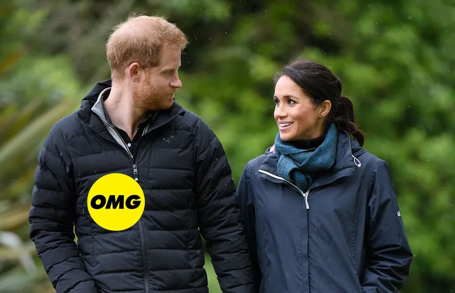 prince-harry-meghan-markle-custodia-hijos