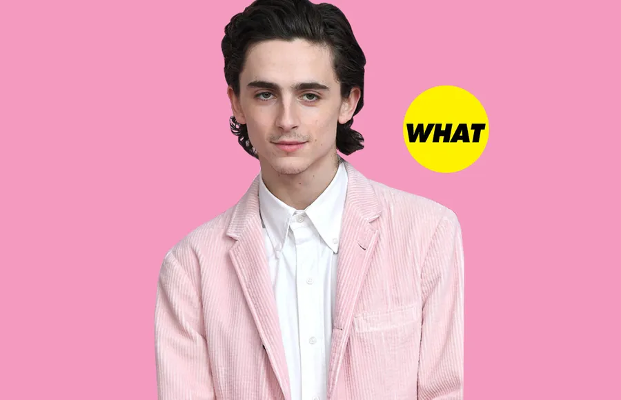 timothee-chalamet-bigote-red-carpet
