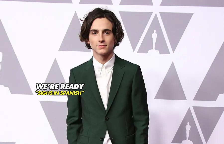 timothee-chalamet-presenta-premios-oscars-oscar-red-carpet