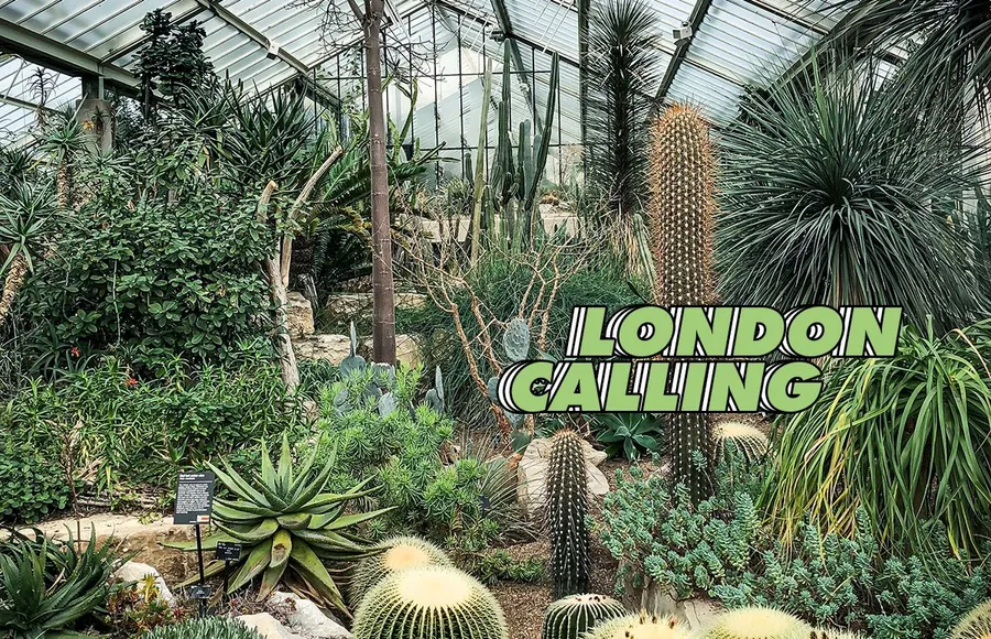 Kew-londres-botanic gardens-jardines-plantas-flores-plan-invernadero