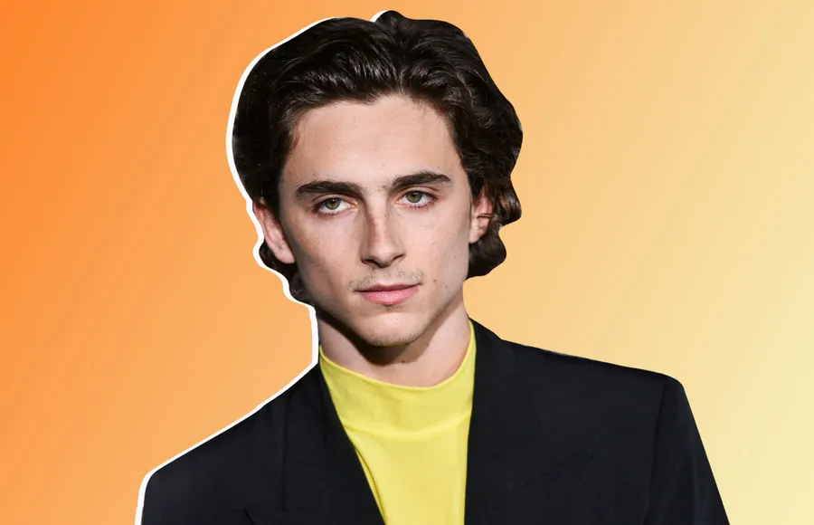 Timothée-Chalamet-woody-allen