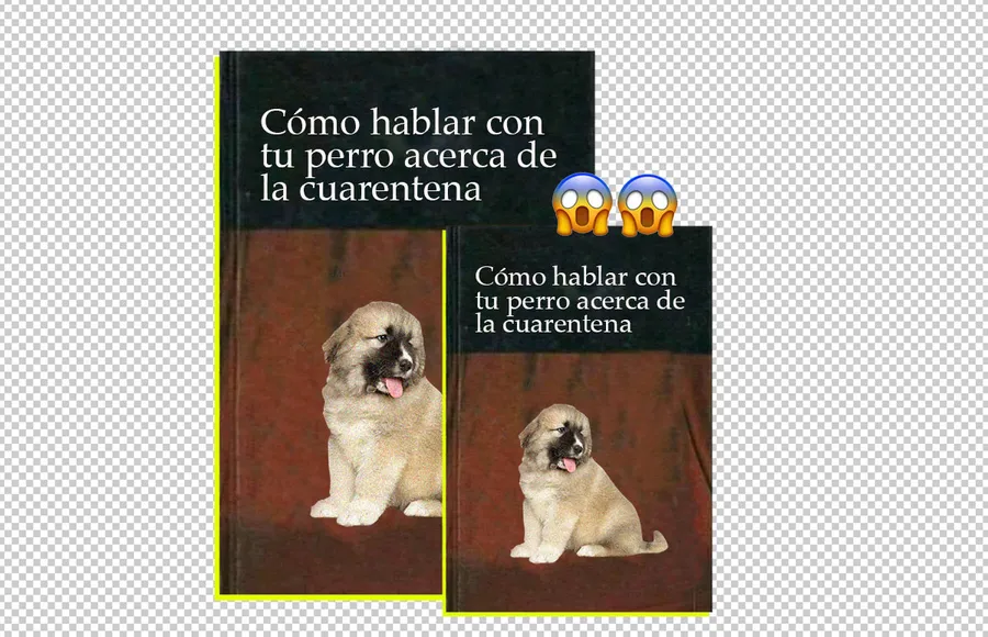 como-hablar-con-tu-perro-acerca-de-la-cuarentena