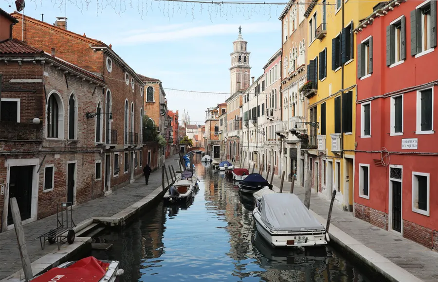 venecia-canales-cuarentena-delfines-cisnes