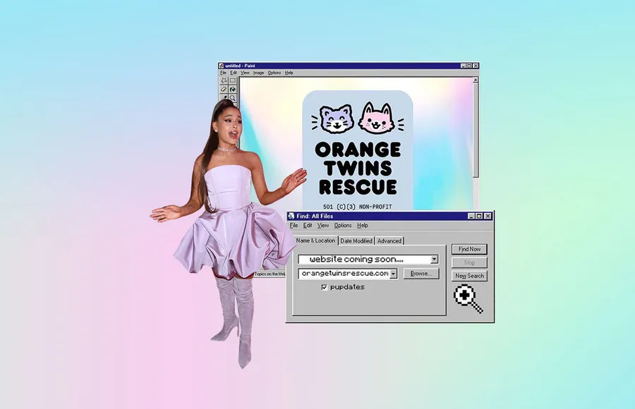 ariana-grande-perros-gatos-recate.jpg