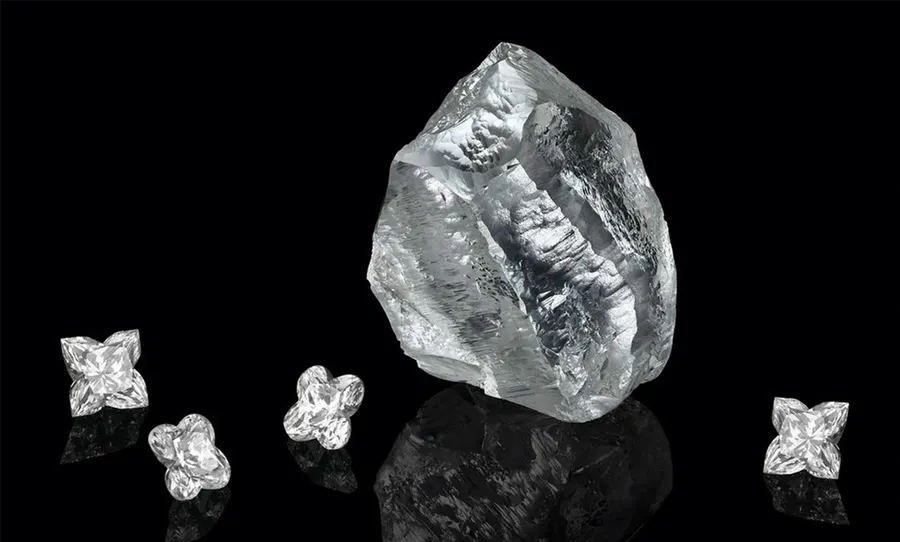 Foto: Louis Vuitton, diamante Sethunya