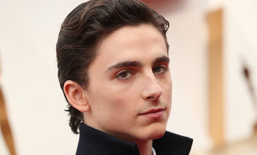 Foto: Shutterstock; Timothée Chalamet, Oscars 2020