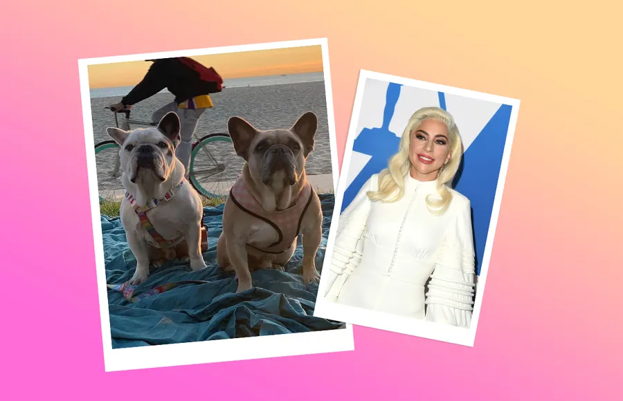 Instagram / Getty Images