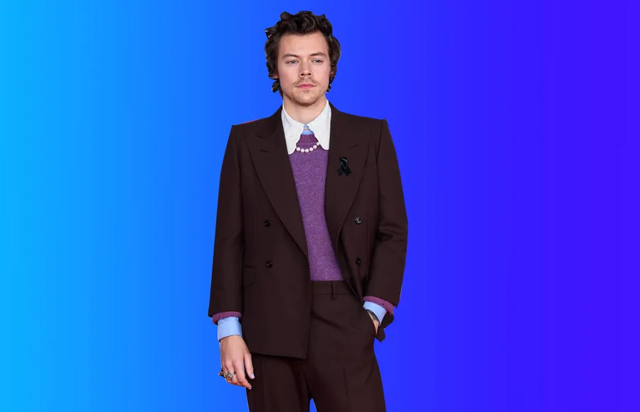 Harry Styles tenis Reebok