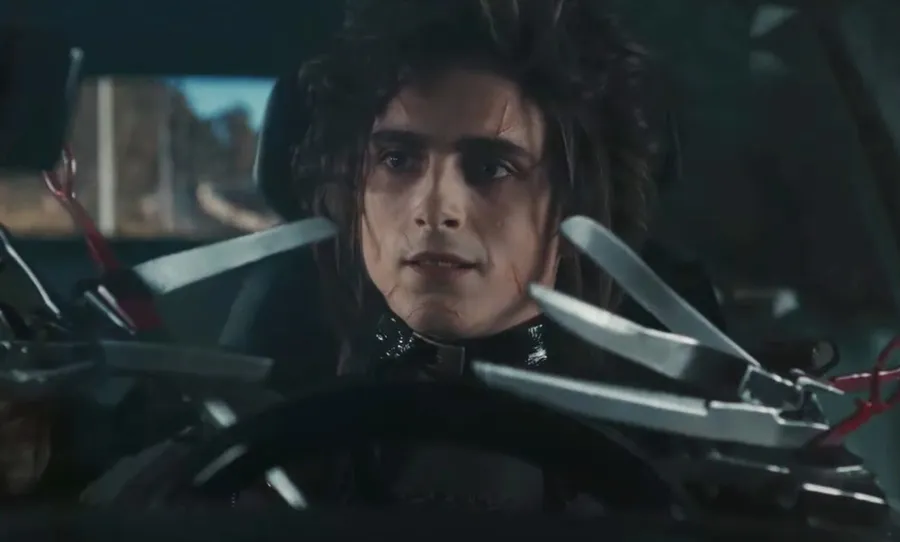 Timothée Chalamet Super Bowl