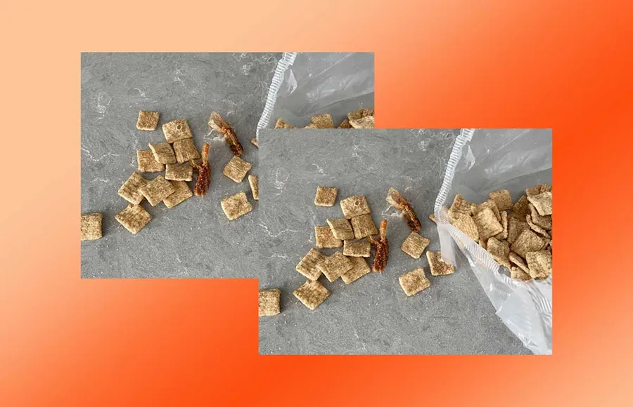 CINNAMON-CEREAL.jpg