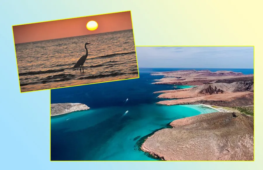 En 2021 se viaja local: las playas mexicanas que debes incluir en tu lista