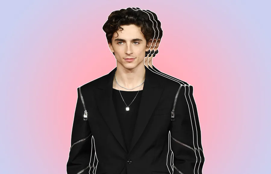 Timothée-Chalamet.jpg