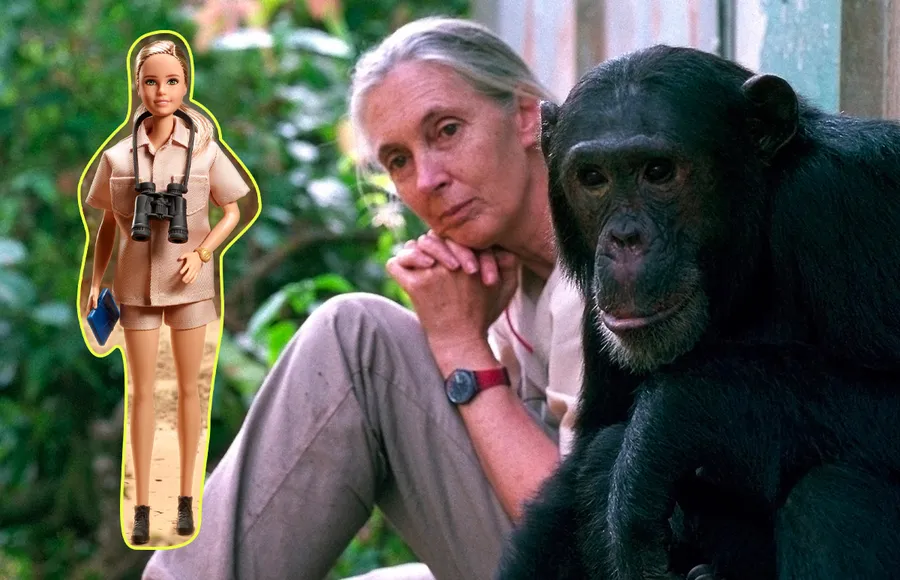 EcoBarbieJaneGoodall_destacada.jpg